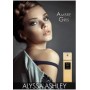 Alyssa Ashley Ambre Gris