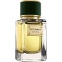 Dolce&Gabbana Velvet Vetiver