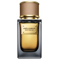 Dolce&Gabbana Velvet Tender Oud