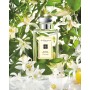 Jo Malone London Orange Blossom