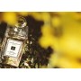 Jo Malone London Mimosa & Cardamom