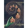 Guerlain Meteorites