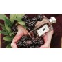 Jo Malone London Blackberry & Bay