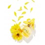 Marc Jacobs Daisy Sunshine