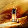 Montale Amber Musk