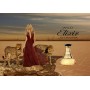 Shakira Wild Elixir