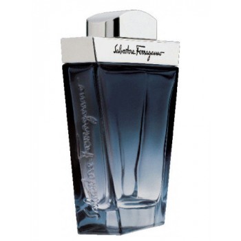 Salvatore Ferragamo Subtil Pour Homme