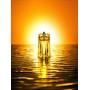 Thierry Mugler Alien Sunessence EDT Legere