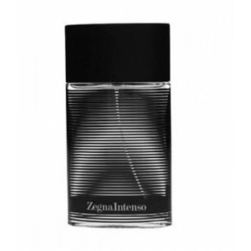 Ermenegildo Zegna Intenso